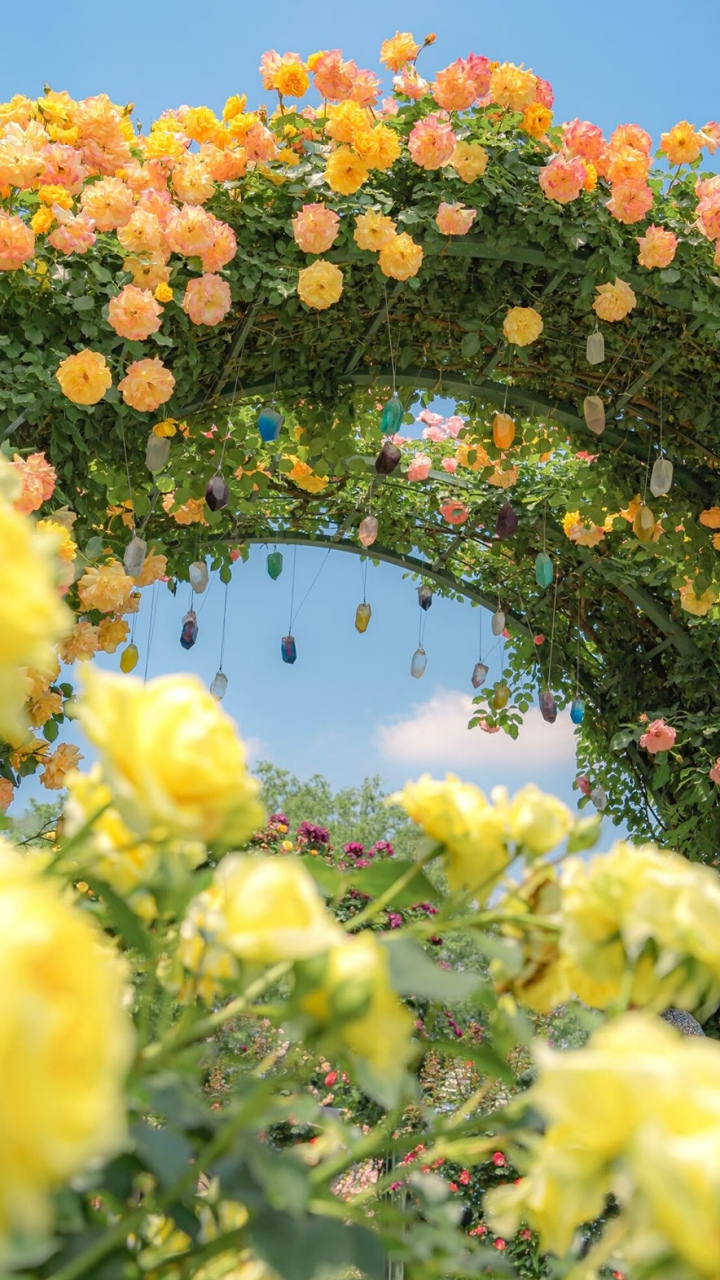 由于这	几天官府事多,暂缓交纳,乡民就暂且将银子带回,准备	还给亲戚