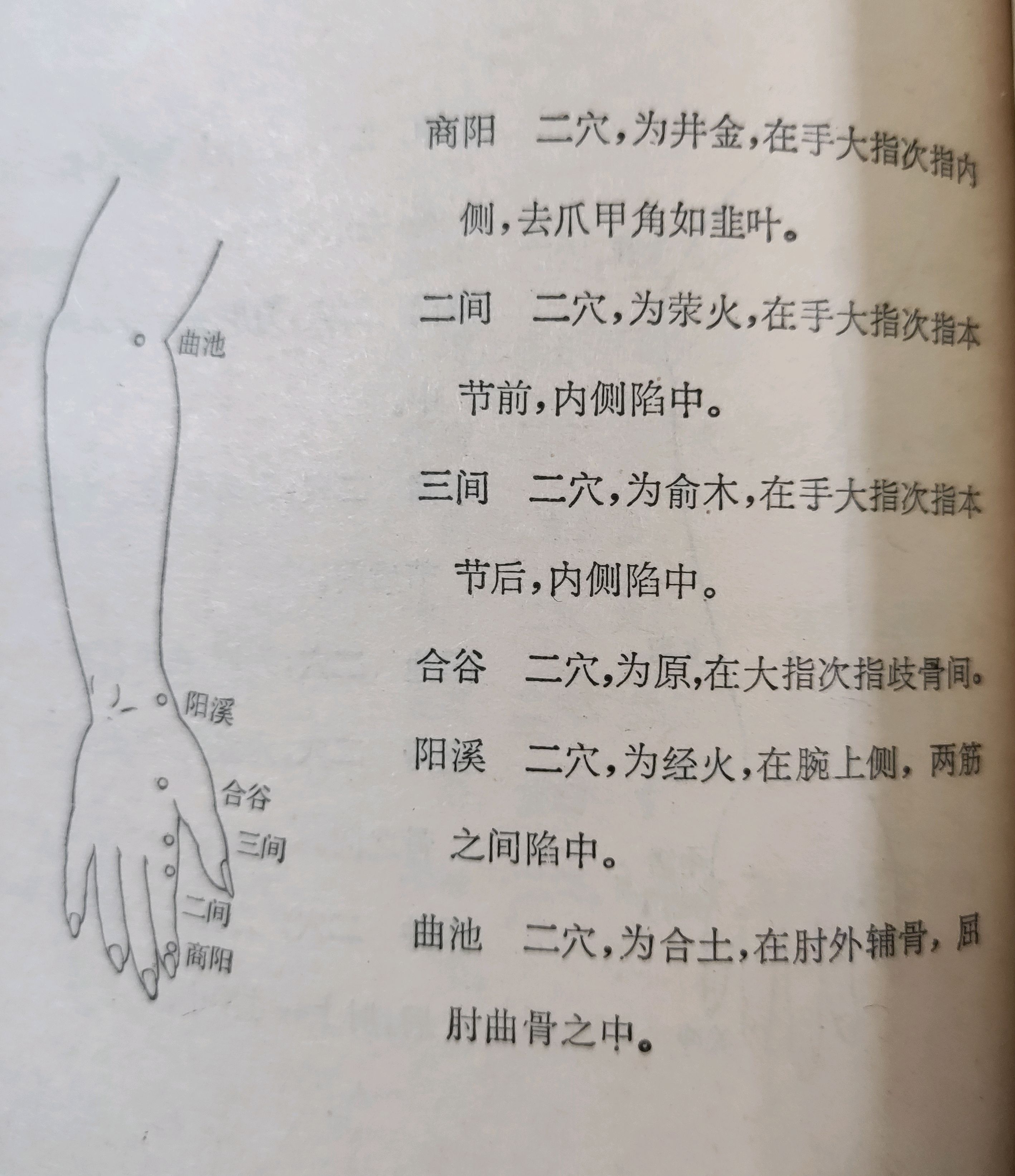 手部大肠经的位置图片图片