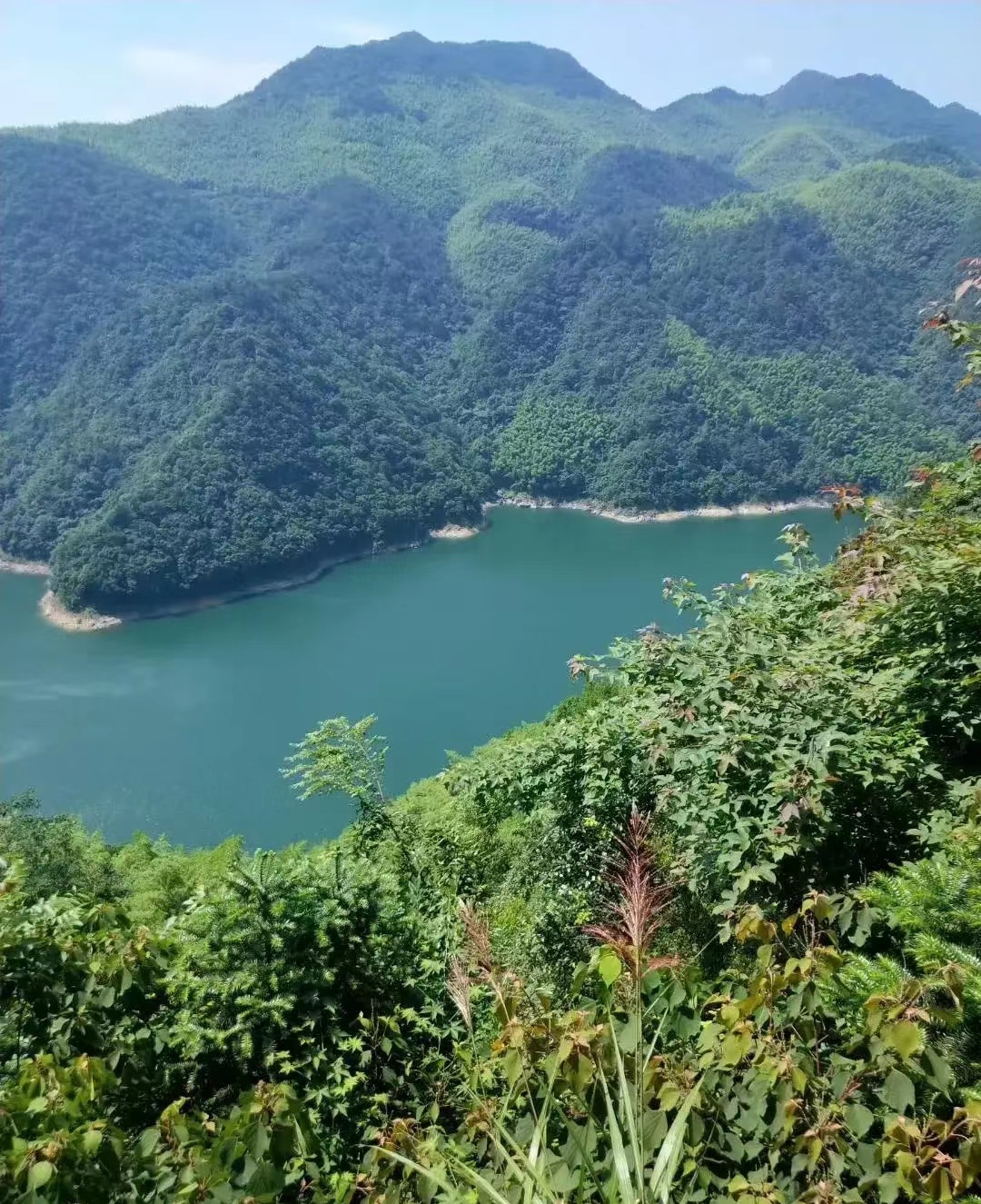 白溪水库位于山脚下,四周环绕着青翠的山峦和郁郁葱葱的森林