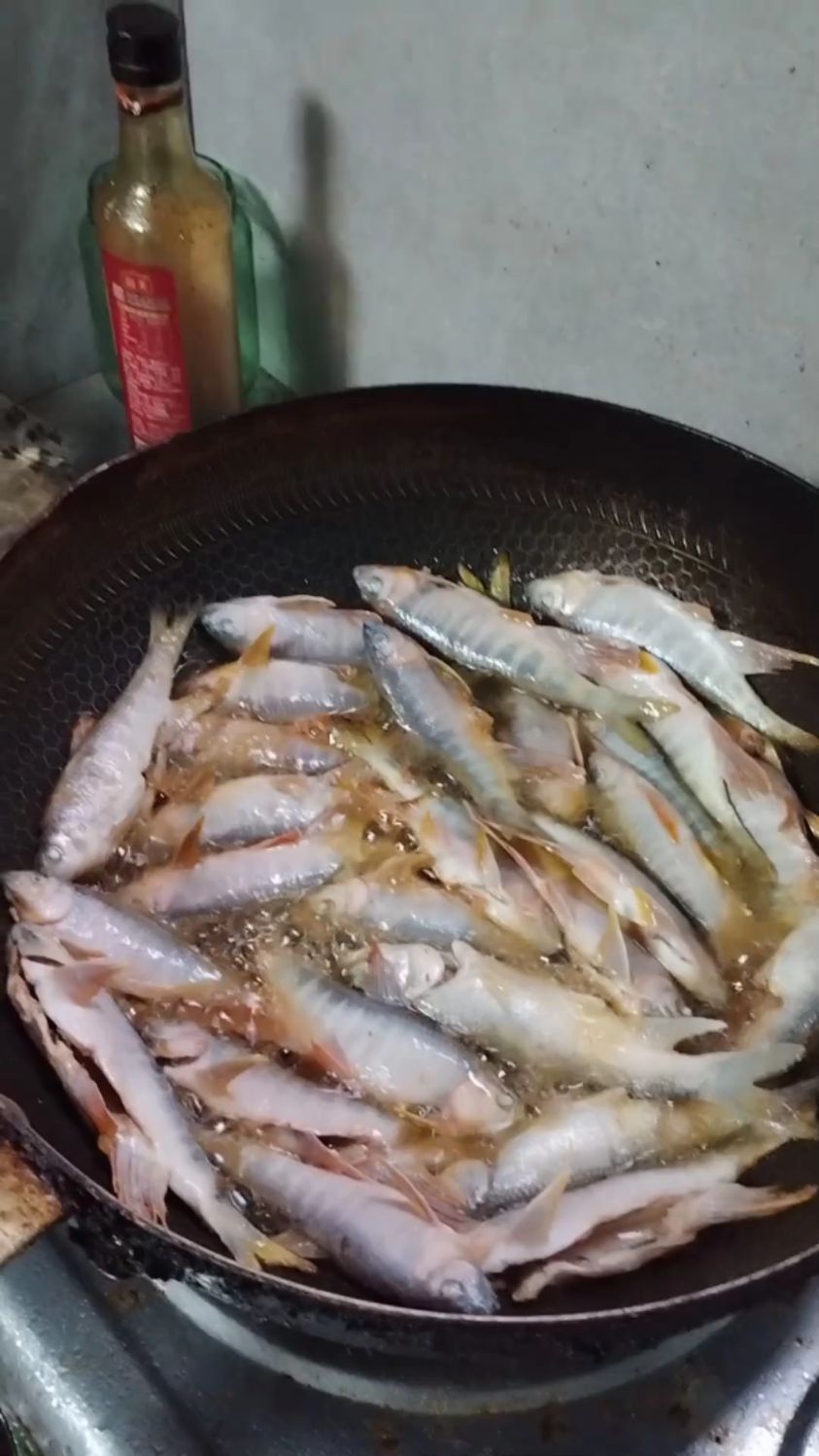 野钓桃花鱼这样做太好吃了