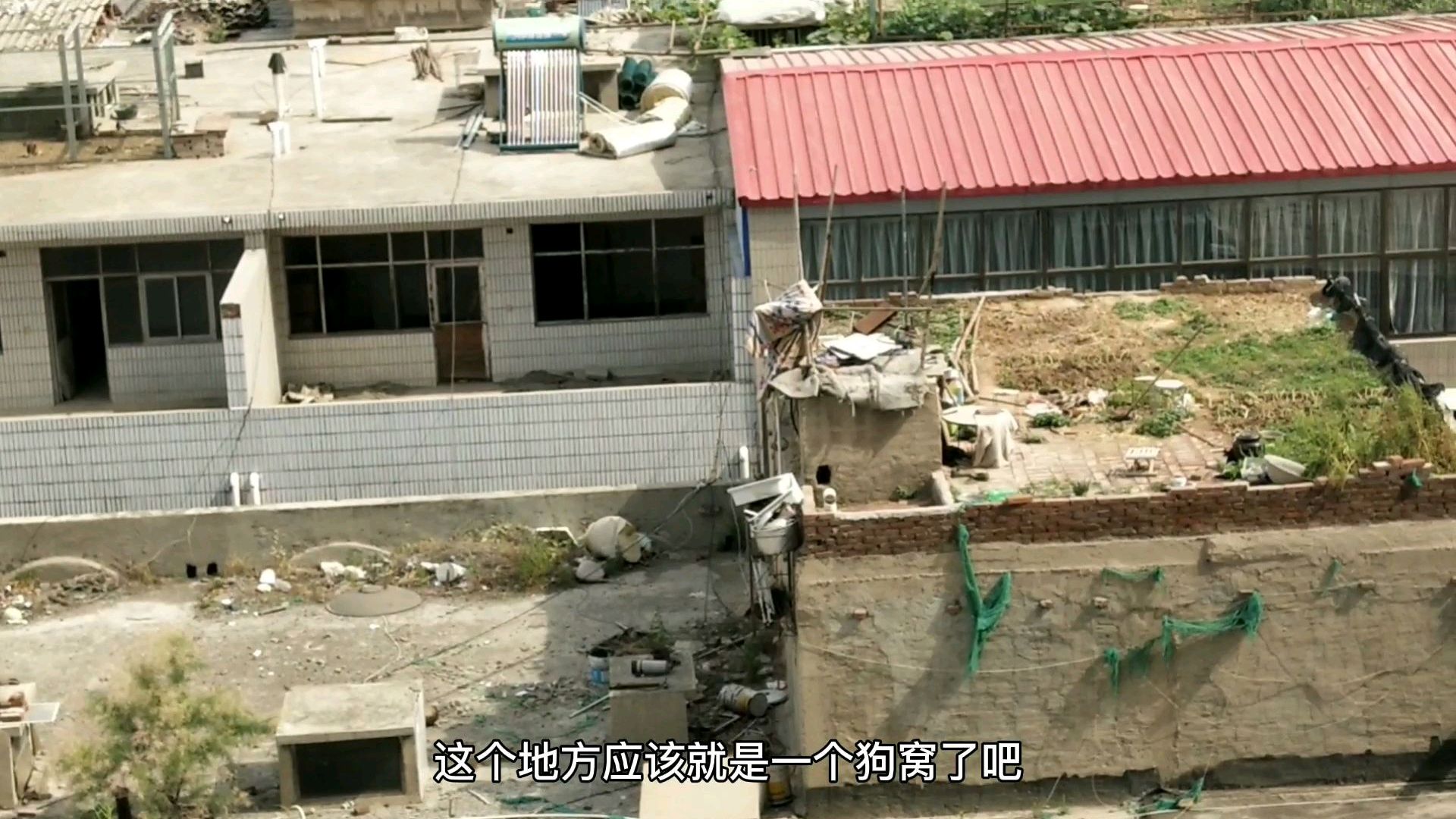 高温天气,做一碗清凉的冰粥,户外风景有人房顶养狗,养鸡和种菜