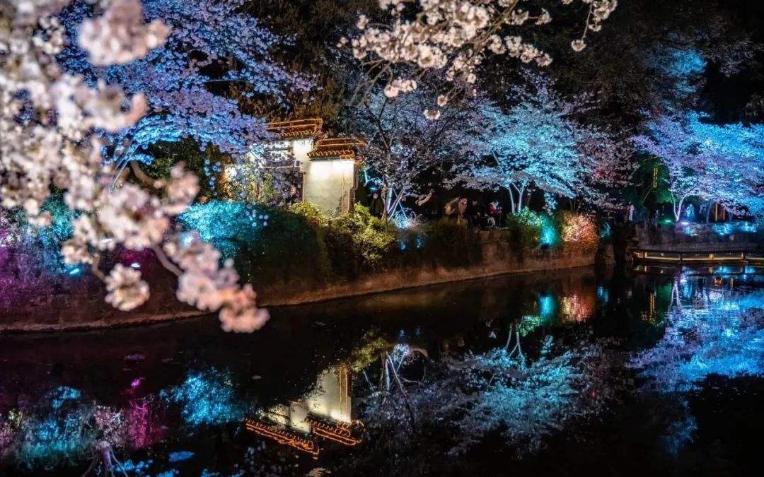 七绝·月下花影