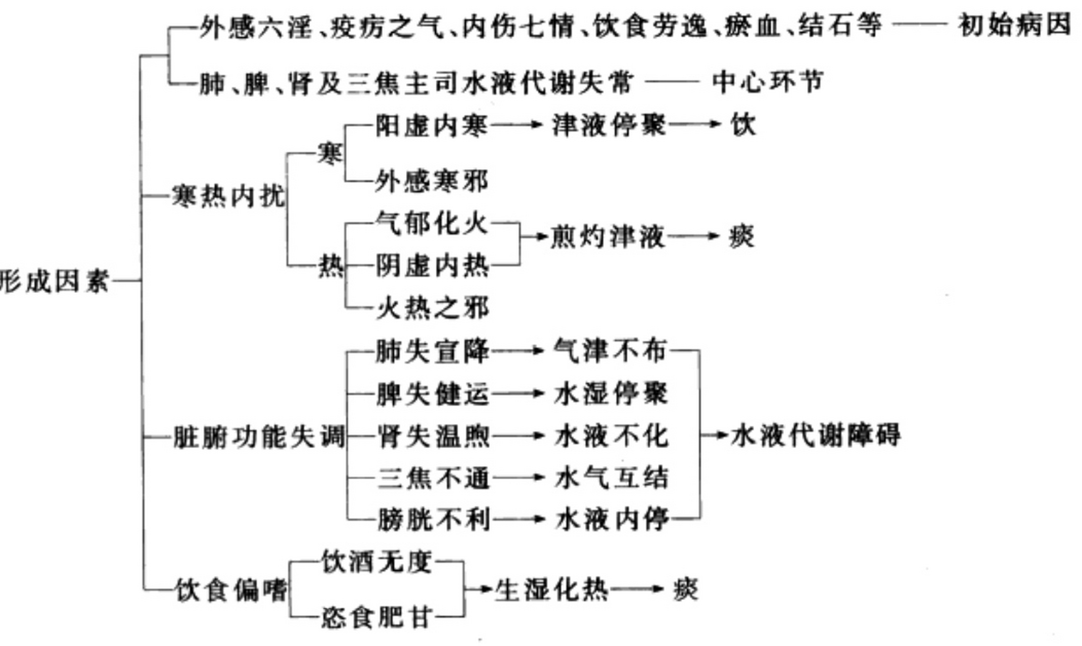 水湿痰饮是咋形成的?