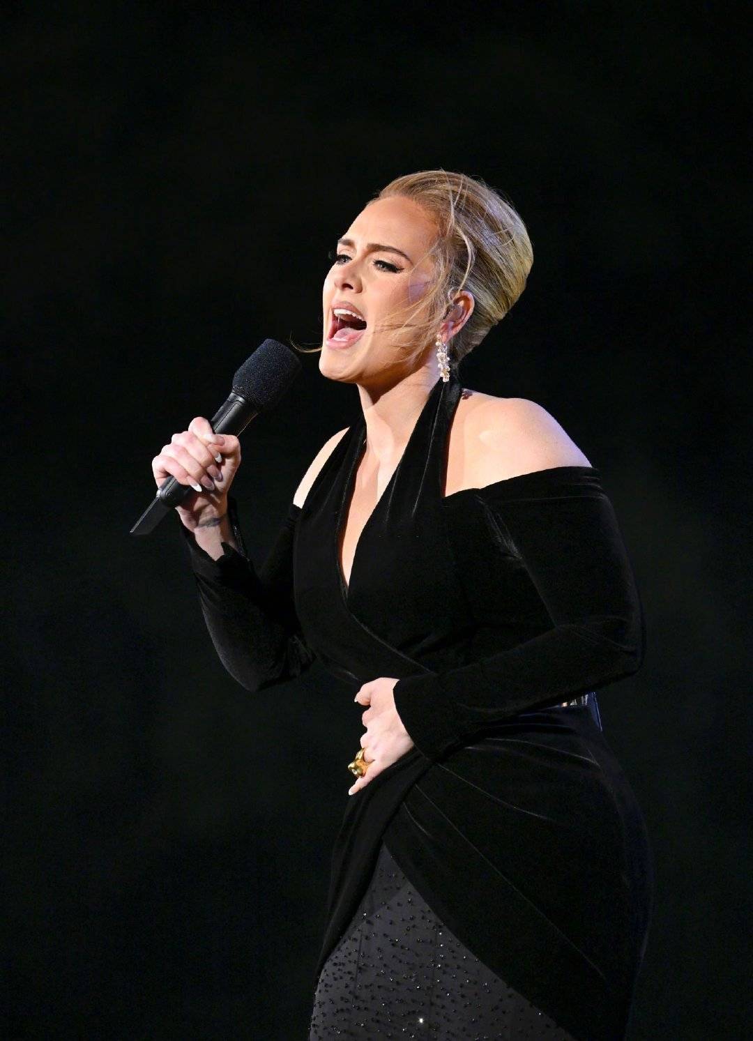 在海德公园开演唱会的adele阿黛尔,身穿schiaparelli定制的礼服