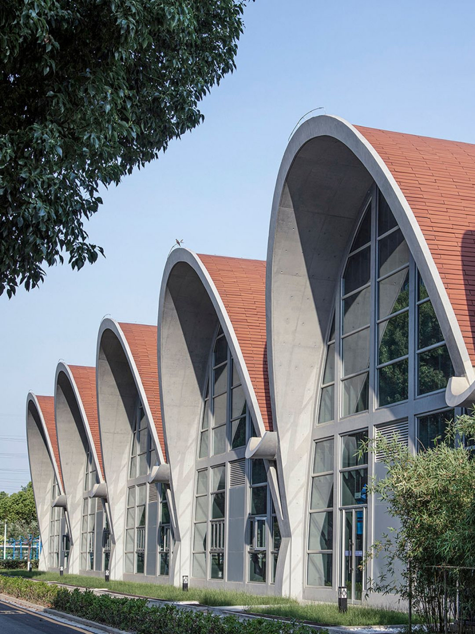 建筑 | 东南大学游泳馆,连续圆拱的节奏感|||游泳馆位于东南大学九龙