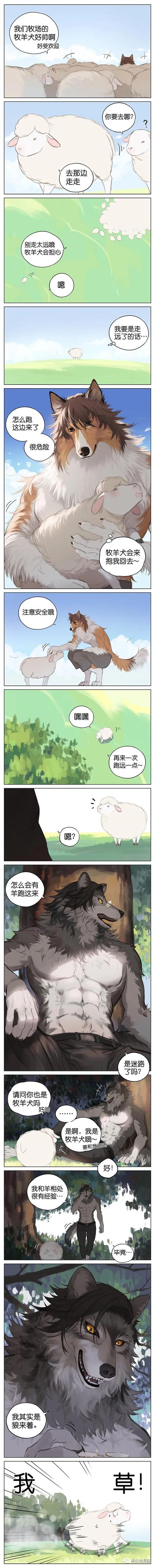 漫画羊