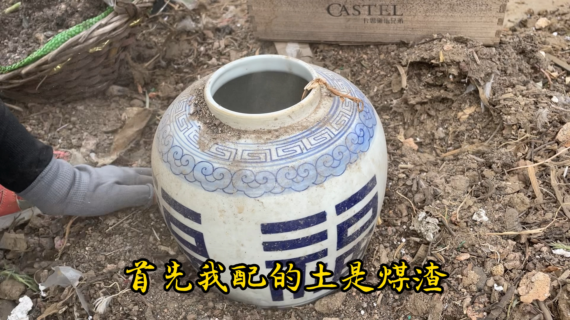 冬美人露养长势好易成活,用捡来的陶瓷罐种1棵皮实冬美人老桩