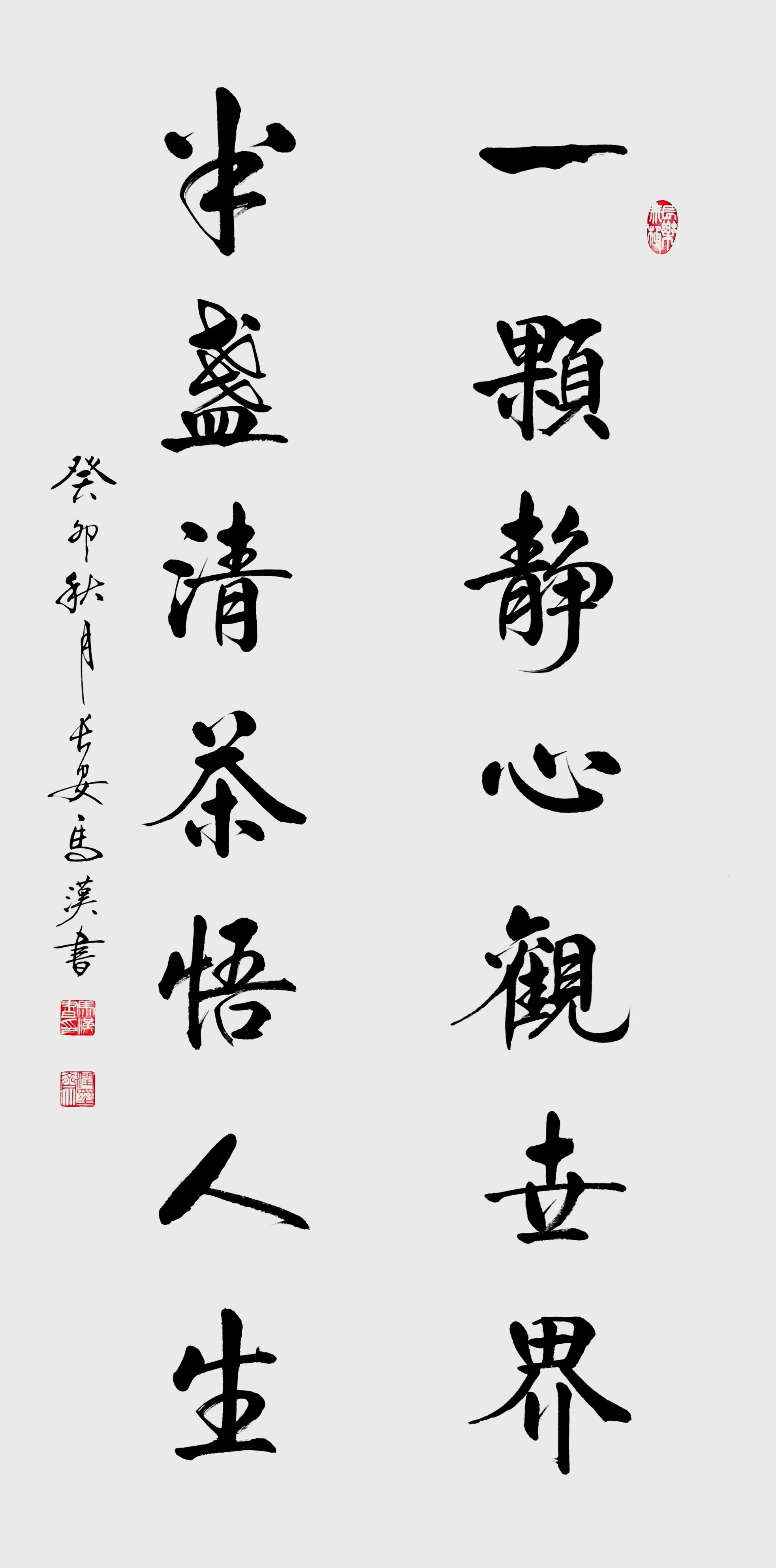 一颗静心观世界