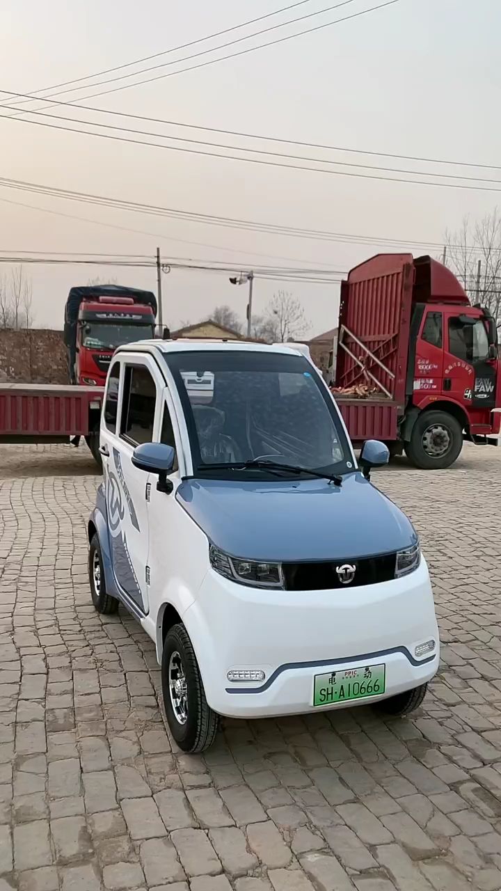 东威m2手把式家用微型代步四轮车!