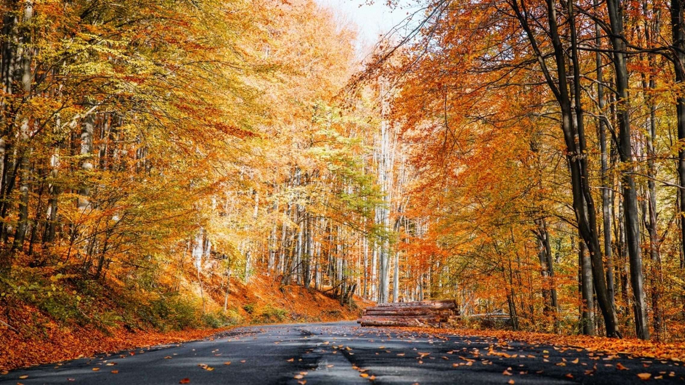 山里的秋天,唯美风景壁纸,愿夏天所有的遗憾,都是这个秋天惊喜的铺垫.