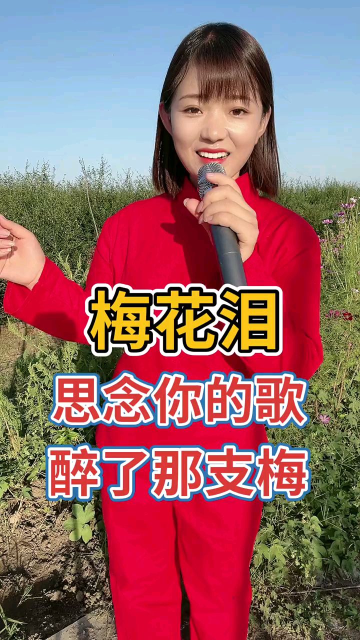 歌曲梅花泪图片大全图片