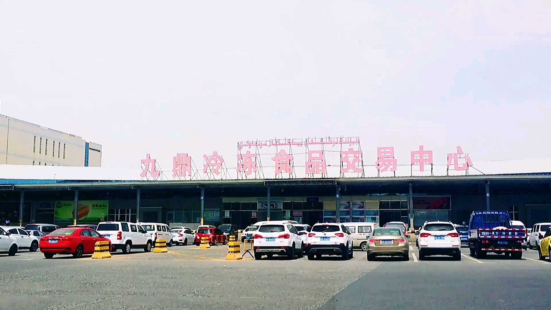 夫妻俩到乌鲁木齐九鼎市场买了阿勒泰冷水鱼水果,单价视频里见……
