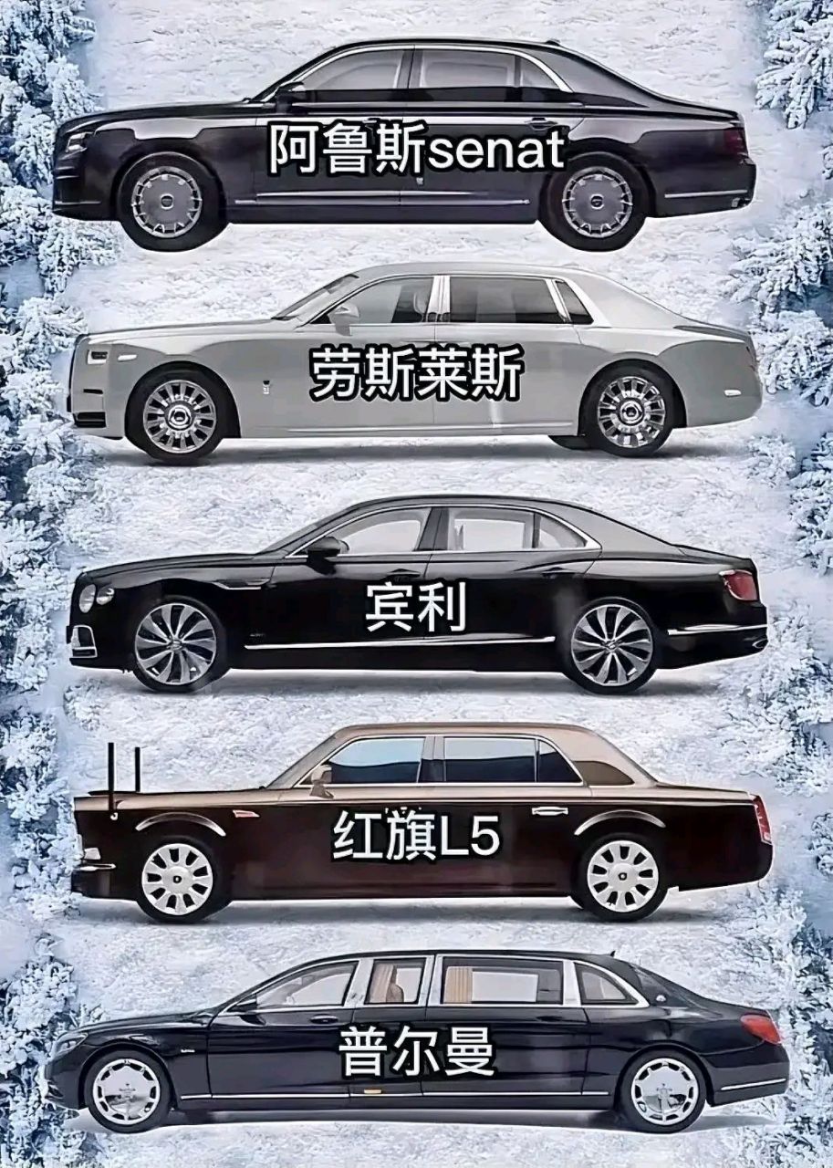 1,阿鲁斯senat 2,劳斯莱斯 3,宾利icon 4,红旗l5 5,普尔曼icon 虽然