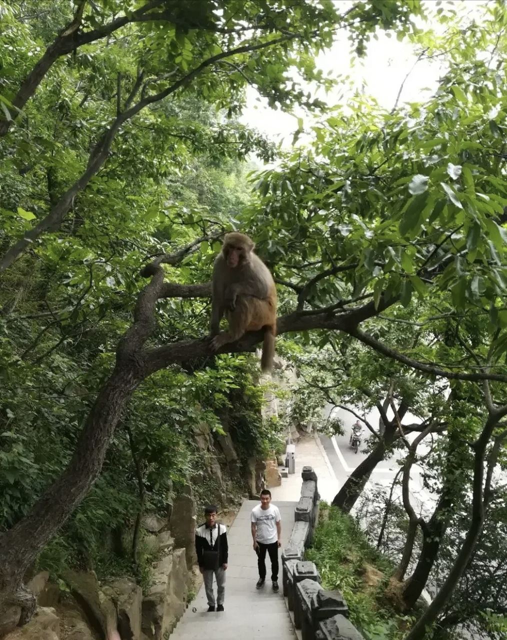 实话告诉你们,以后和谁出去玩,都不能和自已老公出去玩,早上高高兴兴