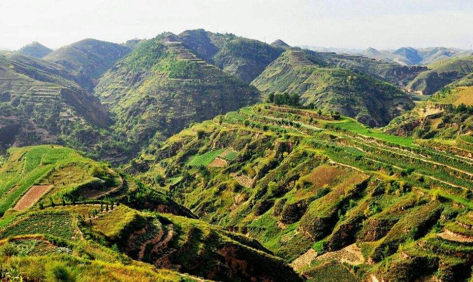 世界上最大的丘陵