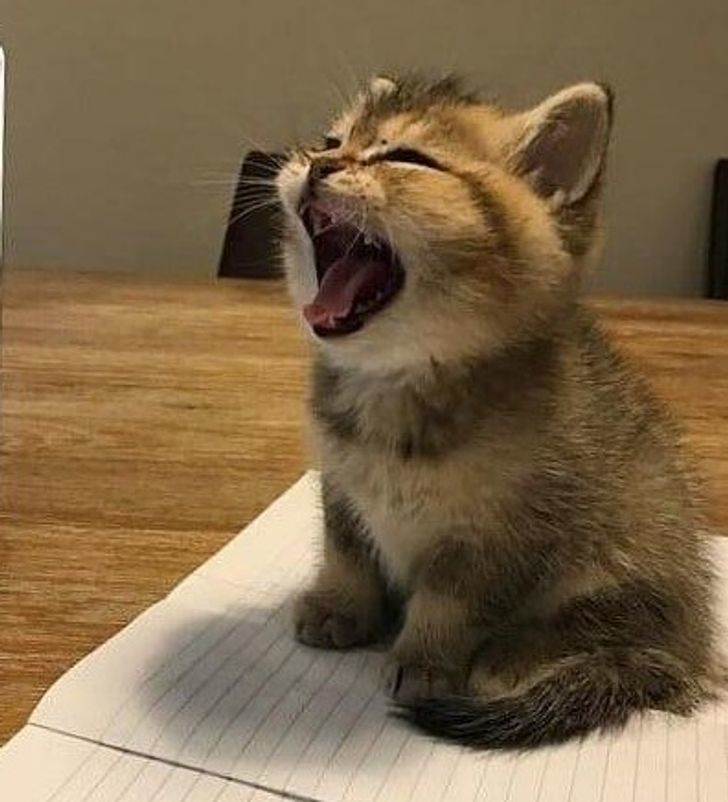 乐翻天的歇后语大全(开心就这么简单)