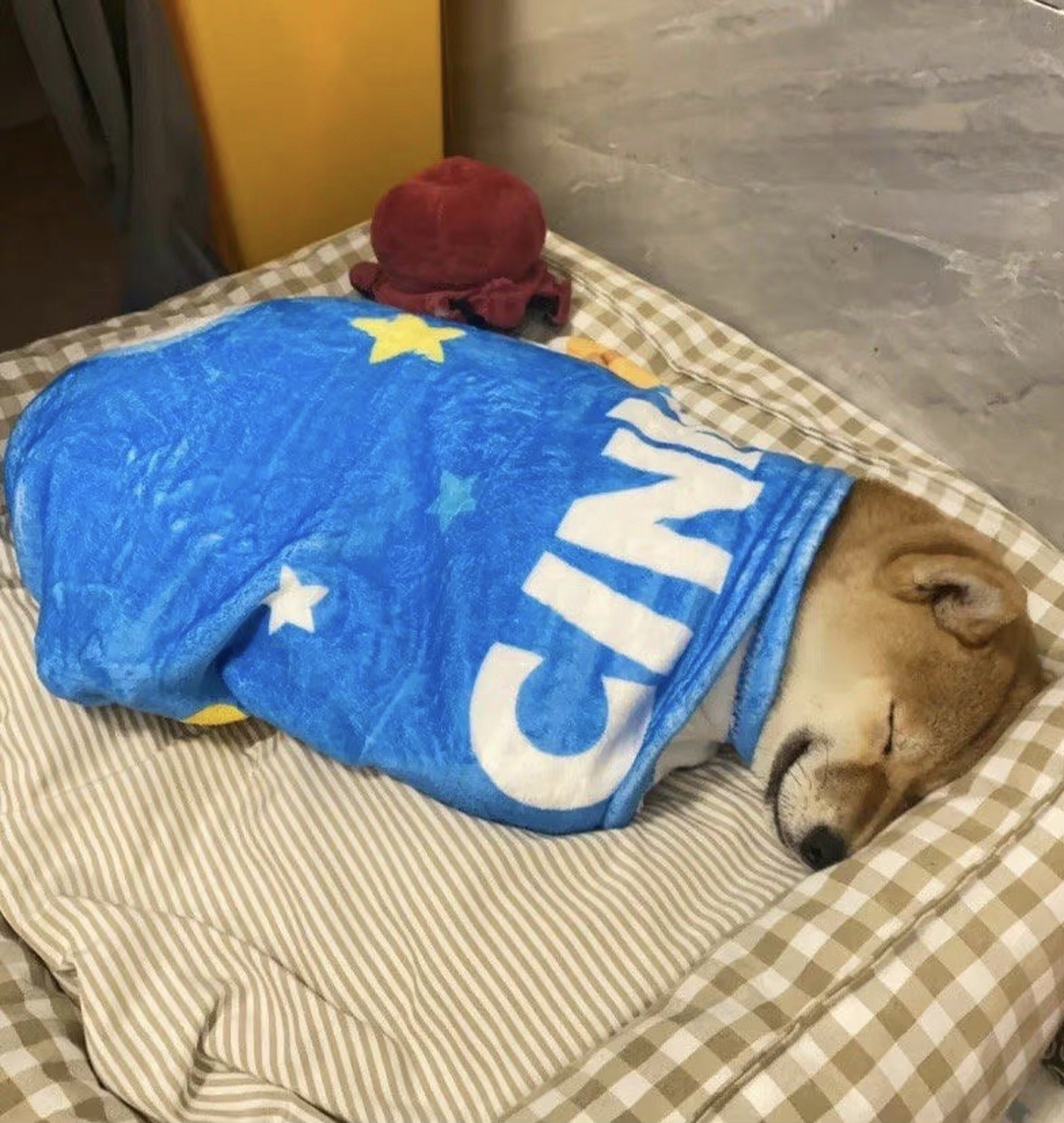 钻进被窝,盖好被子,美美地睡一觉.