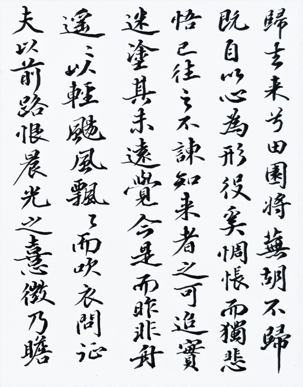 今天继续临写苏轼《归去来兮辞》  临写苏轼此帖时,如何把握字的结构?