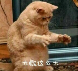 死活常型——"梅花五"