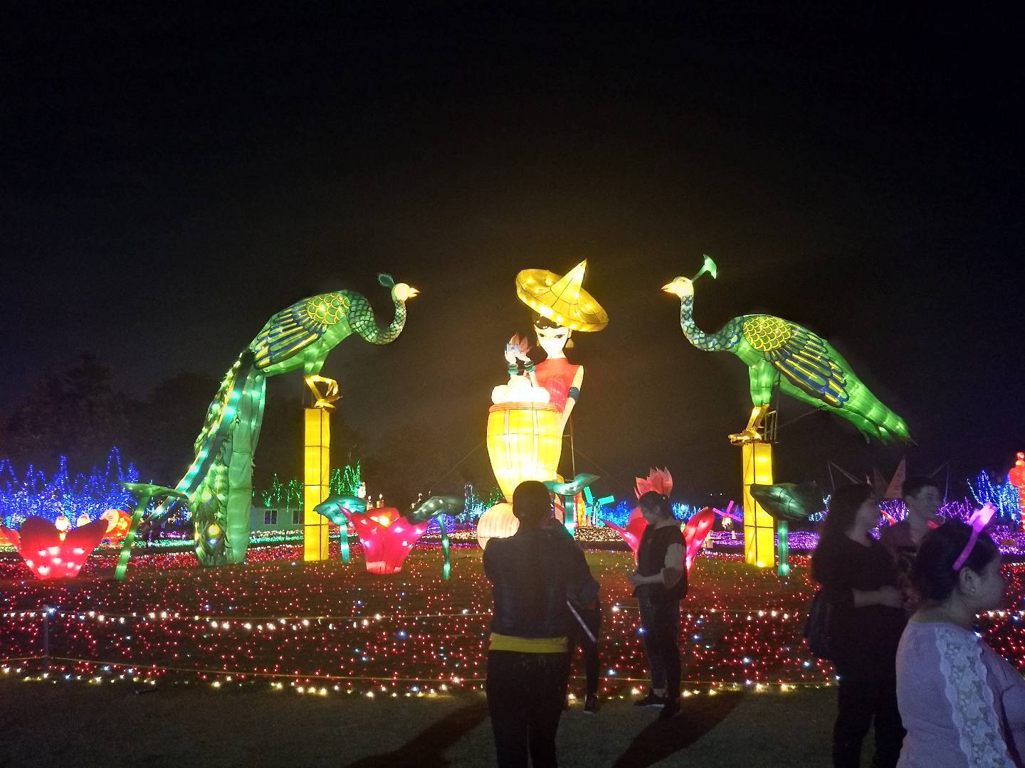 深圳海上田园的夜景