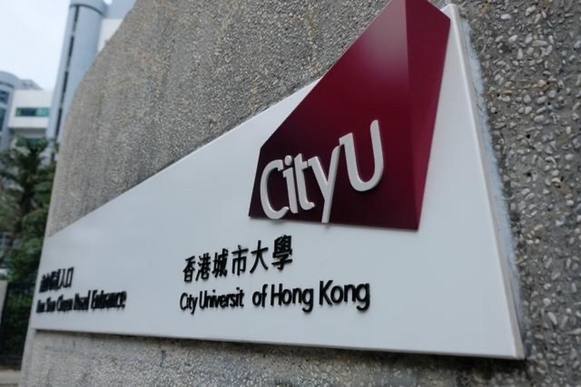 香港城市大学(东莞)未来学生总规模为6000人,包括本科生,硕士生及