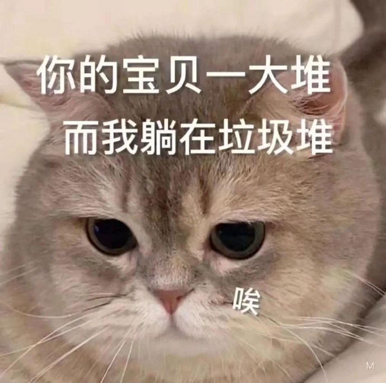 搞笑表情包聊天必备,收藏起来备用