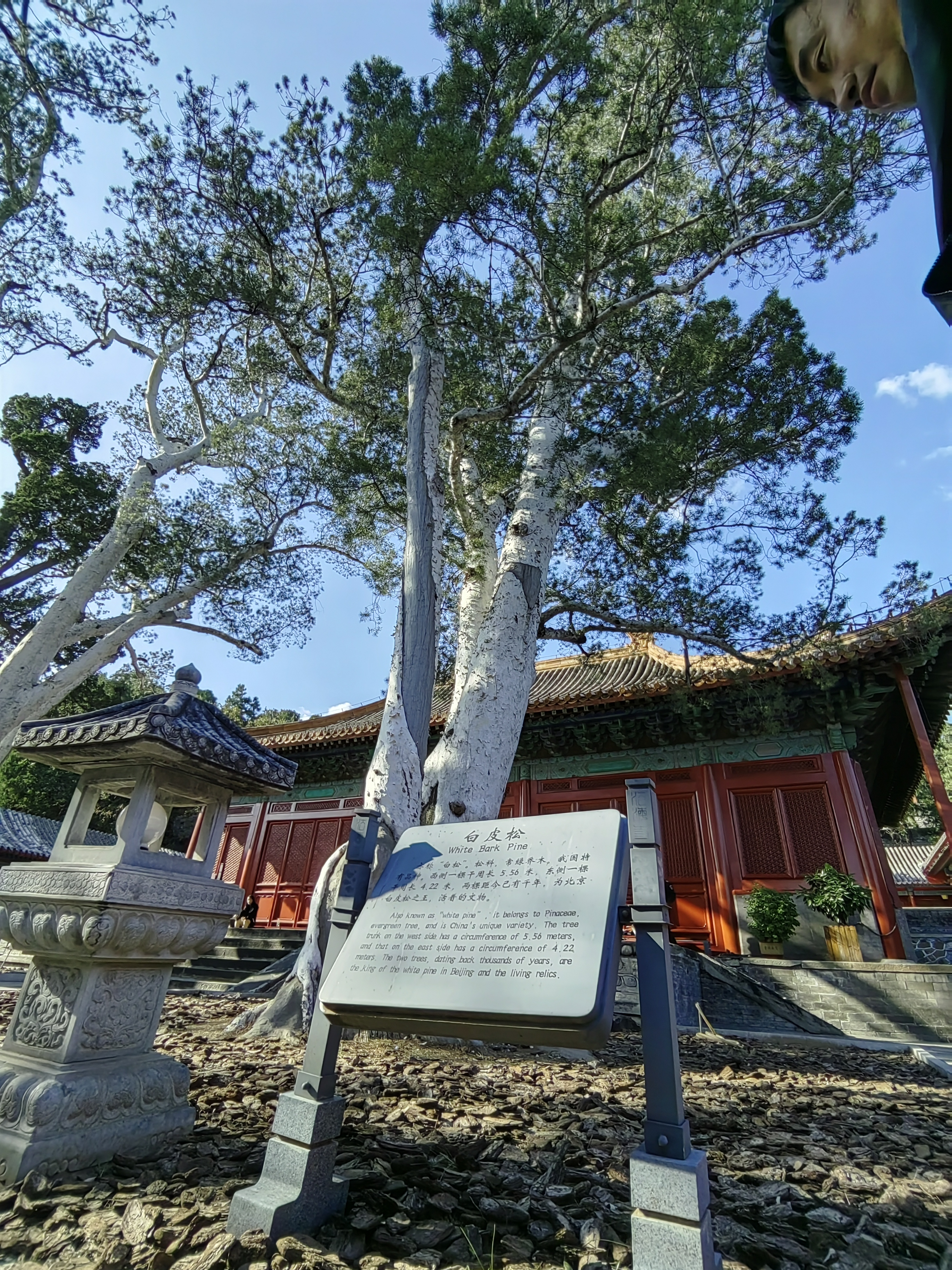 石景山驼铃古道照片图片