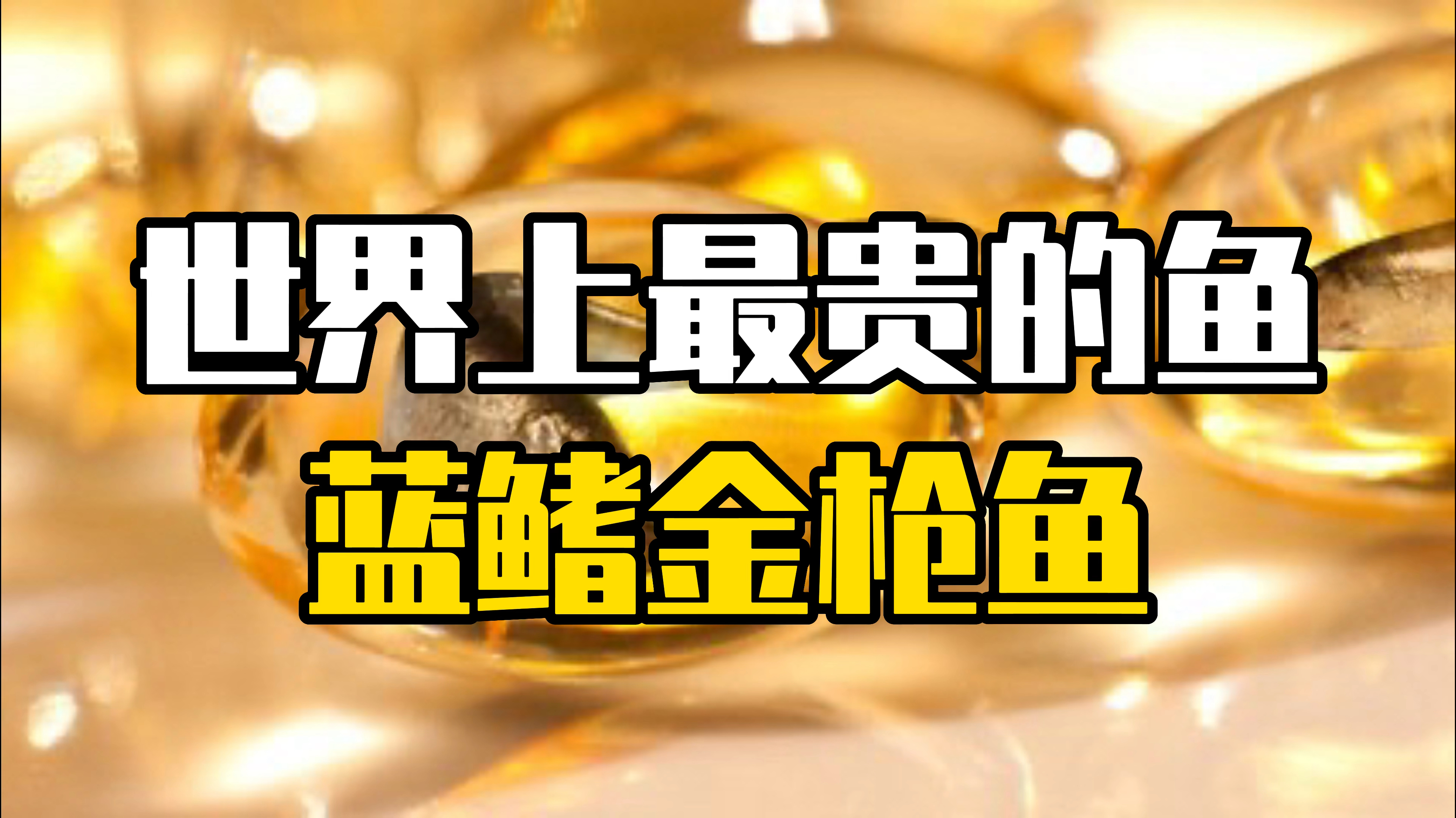 世界上最贵的鱼,一口就能吃掉一个月工资