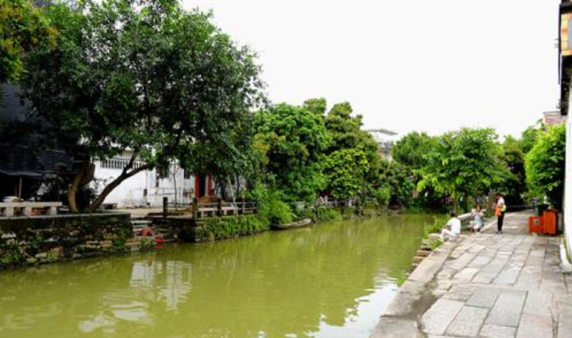 中山也有一个岭南水乡,风景独特,一起来领略不一样的风采