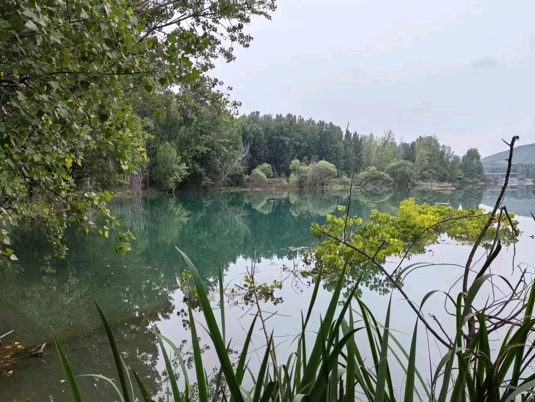 孩子眼里的啰嗦老太婆