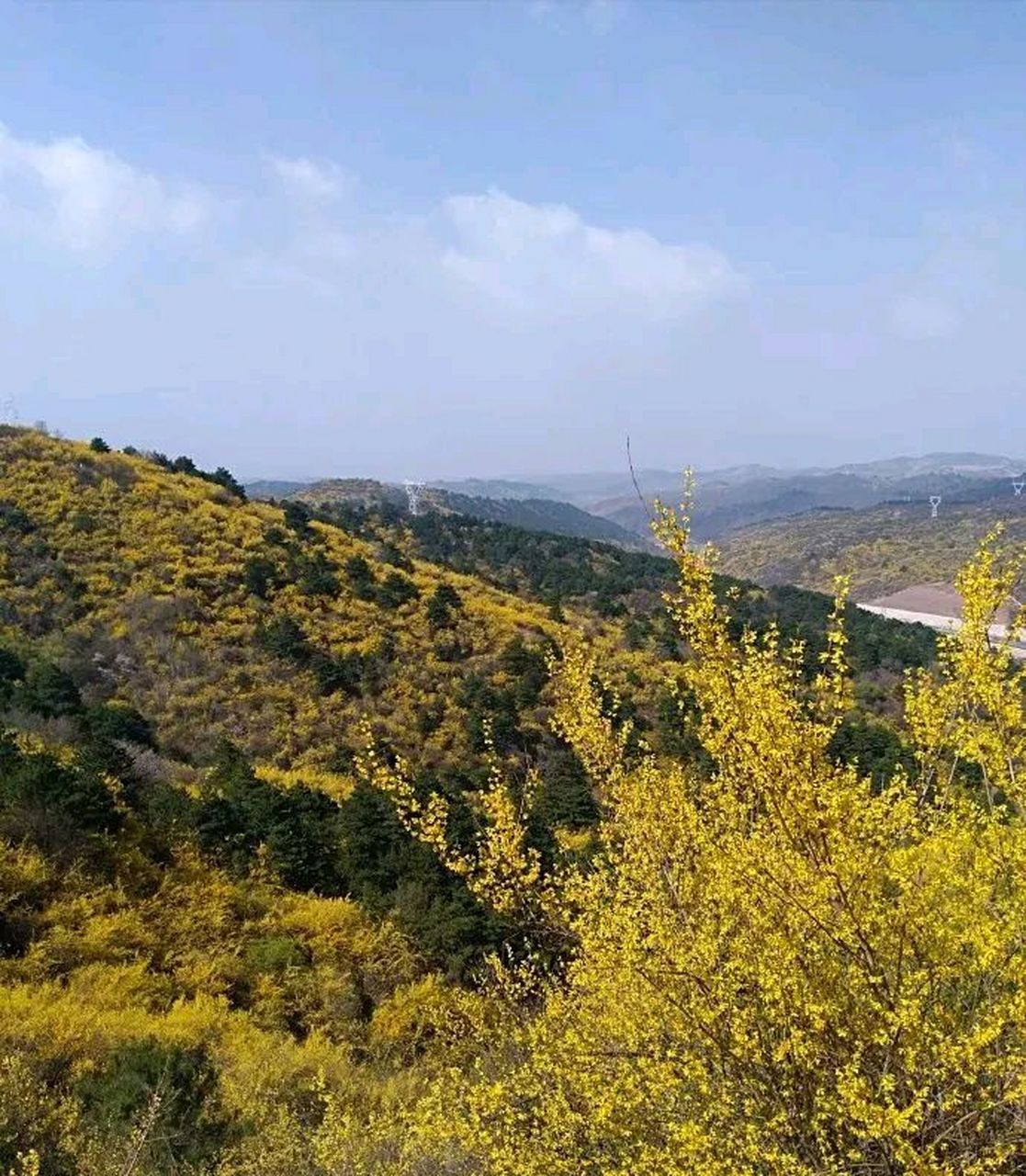 安泽黄花岭风景区攻略图片