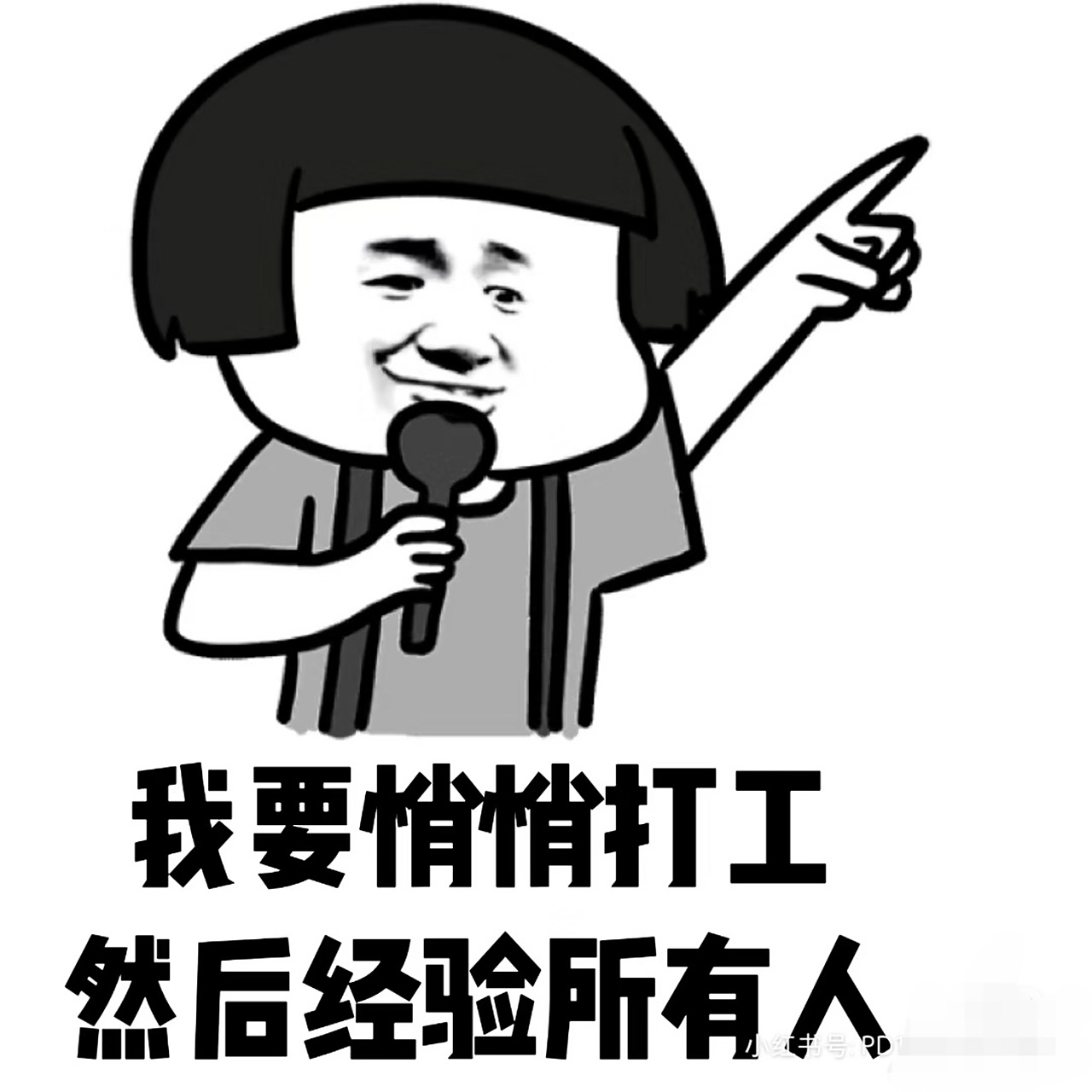 我要悄悄打工,然后经验所有人[笑哭]#表情包# #打工人