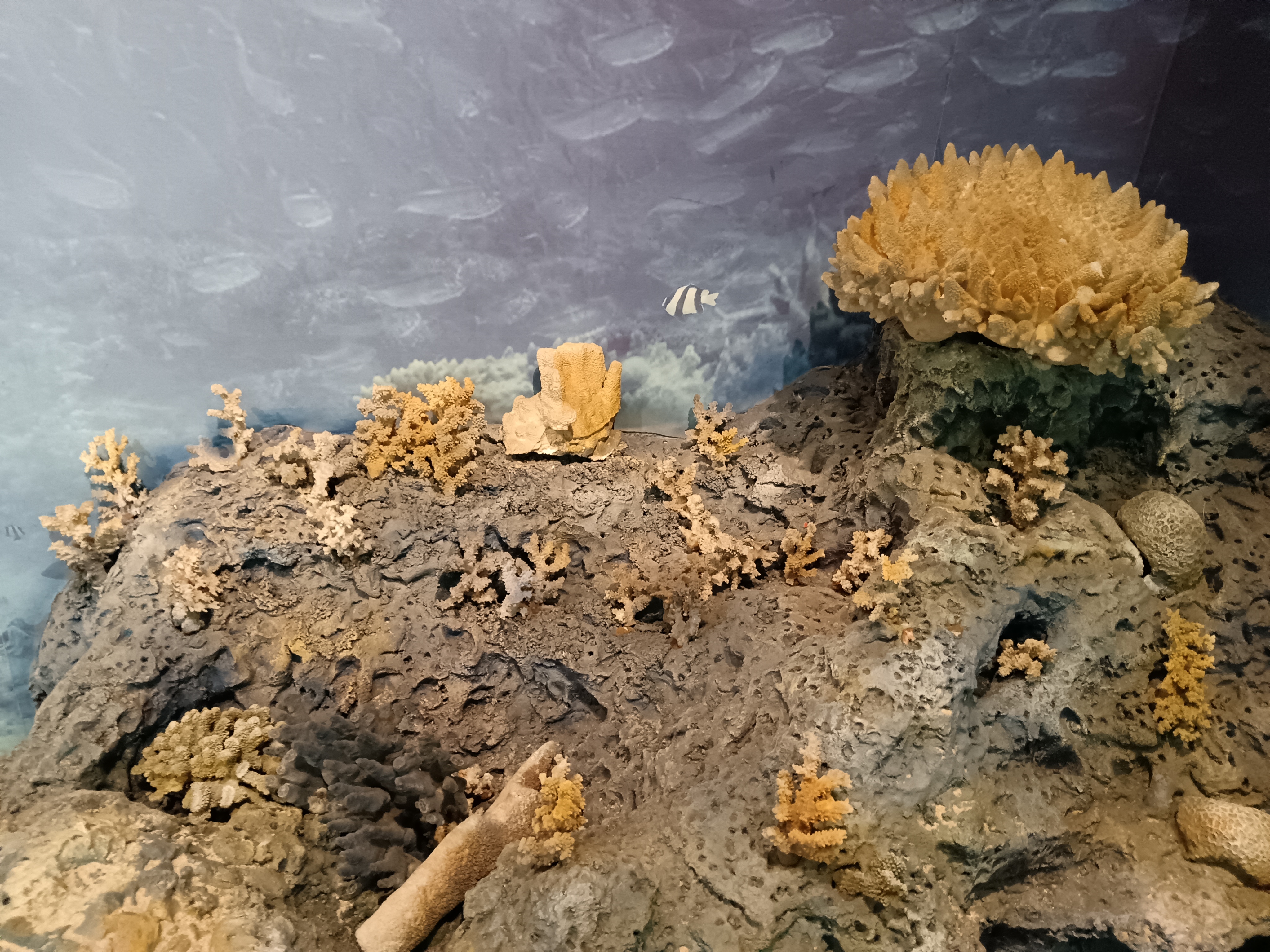 海南省博物馆海捞瓷文物展