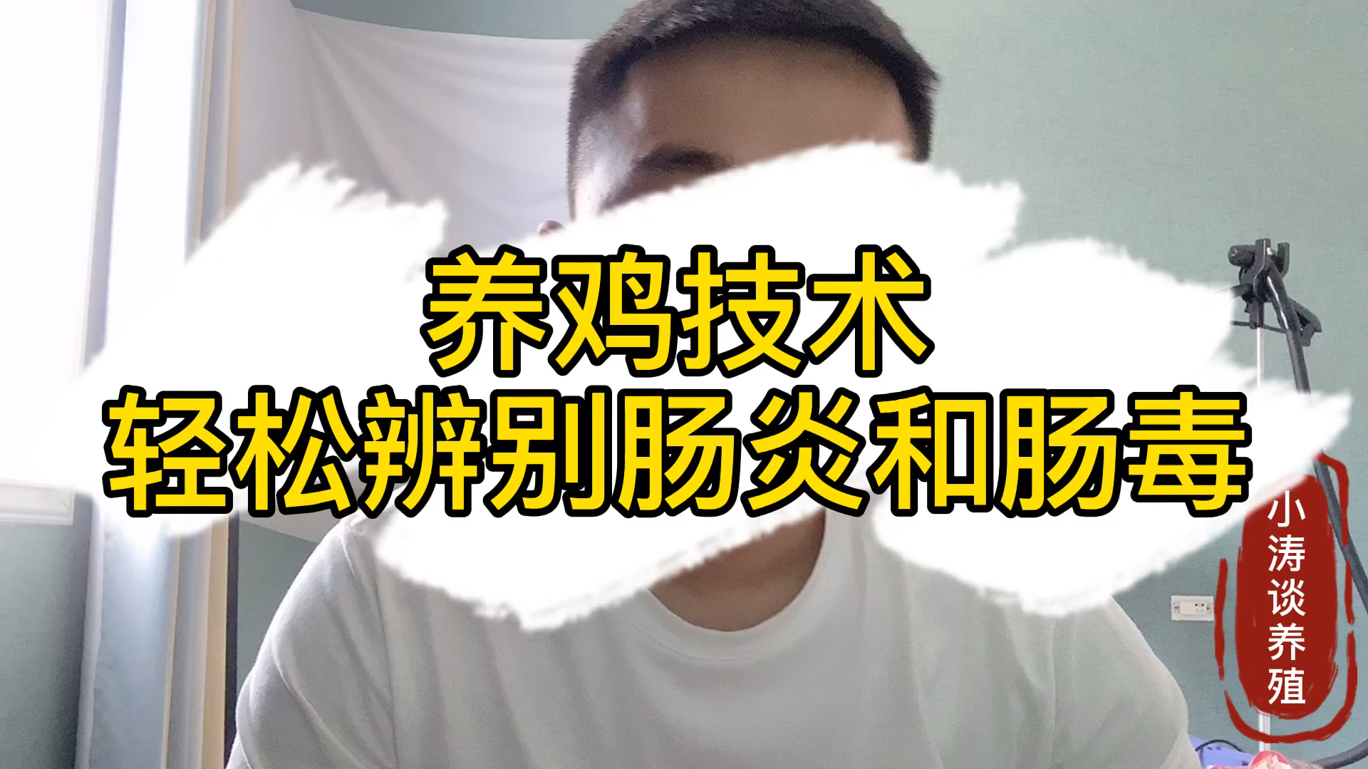 养鸡容易混搅的鸡病,肠毒综合症和肠炎你会区分吗?