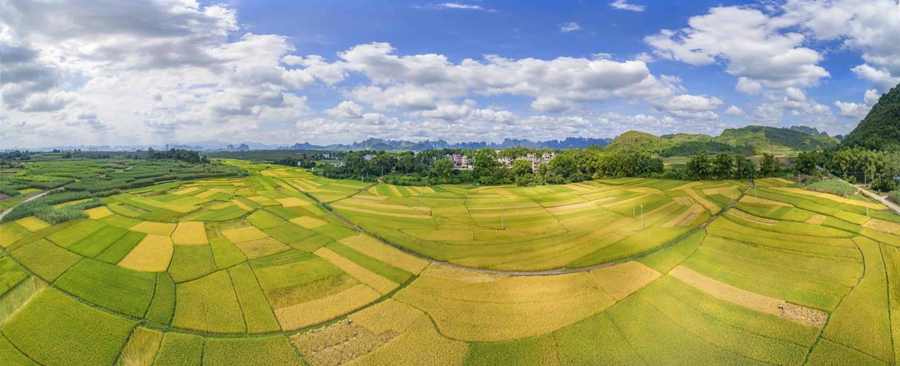 全球前几位国家的粮食产量对比  可耕地(千平方公里):中国1086,印度
