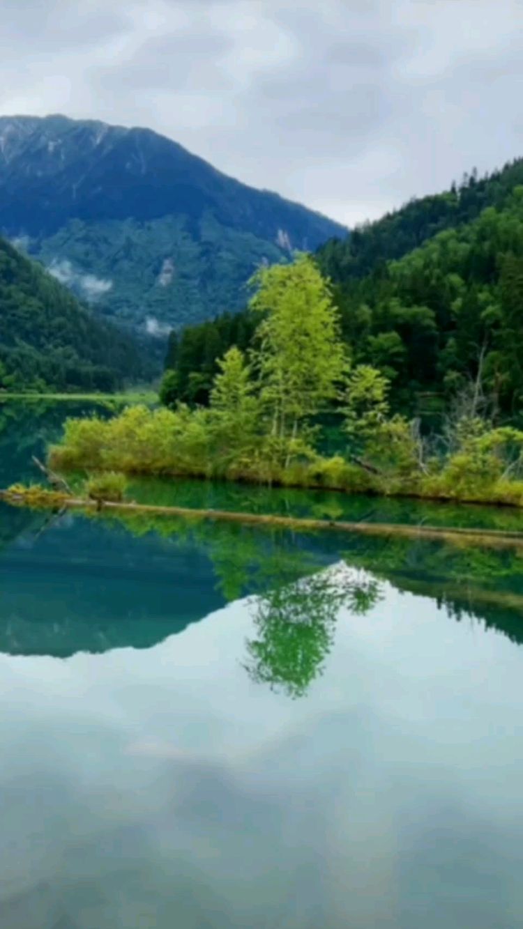 九寨沟的山青青水碧碧,美的让人震撼!