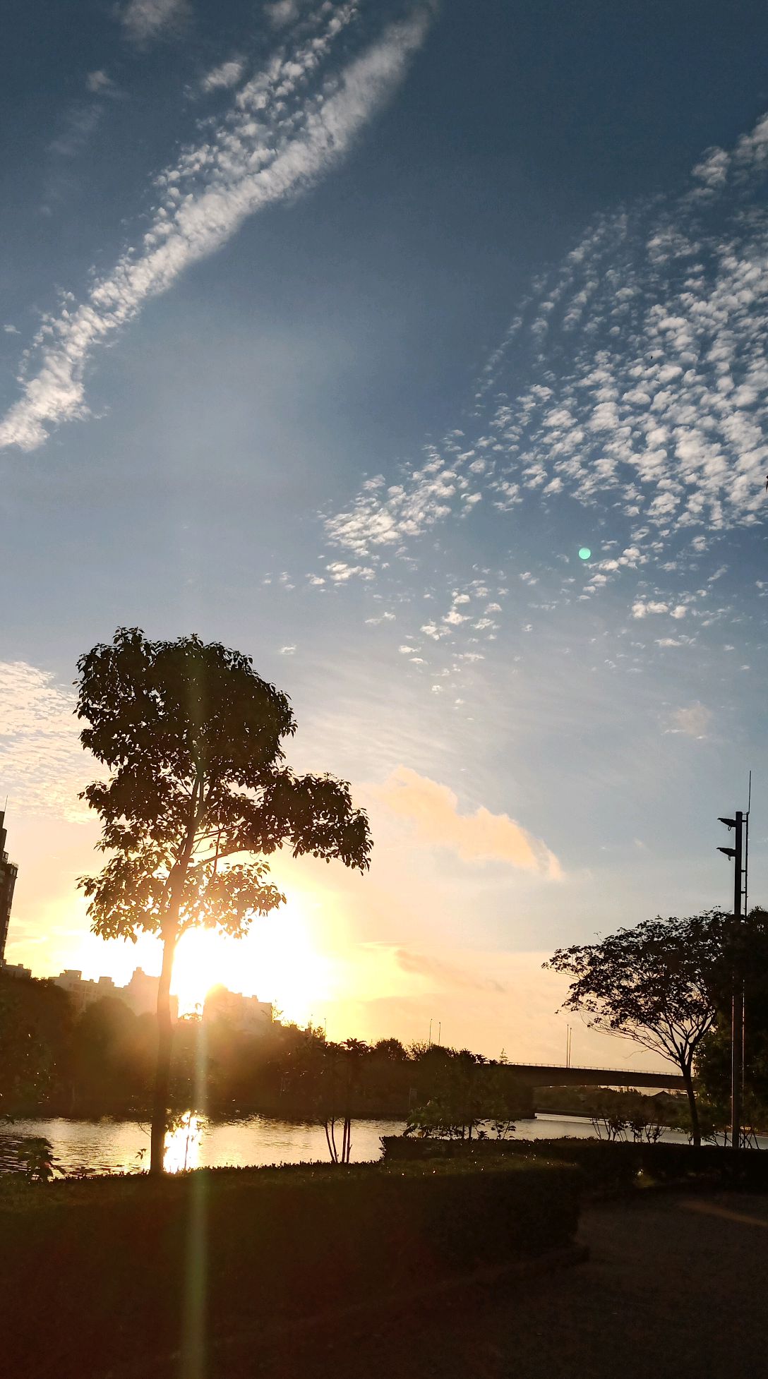 早晨跑步六点的天空,抬头发现美