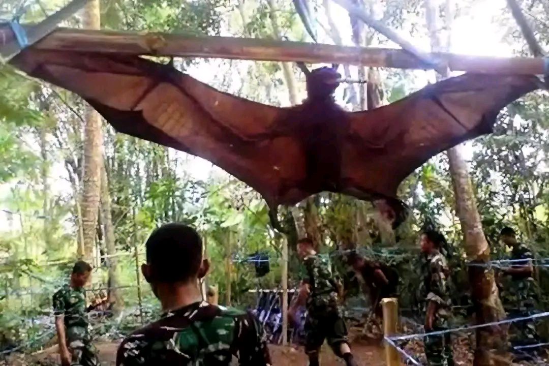 西双版纳"吸血毯",传说会拖人下水吸干血,它究竟是何种生物?