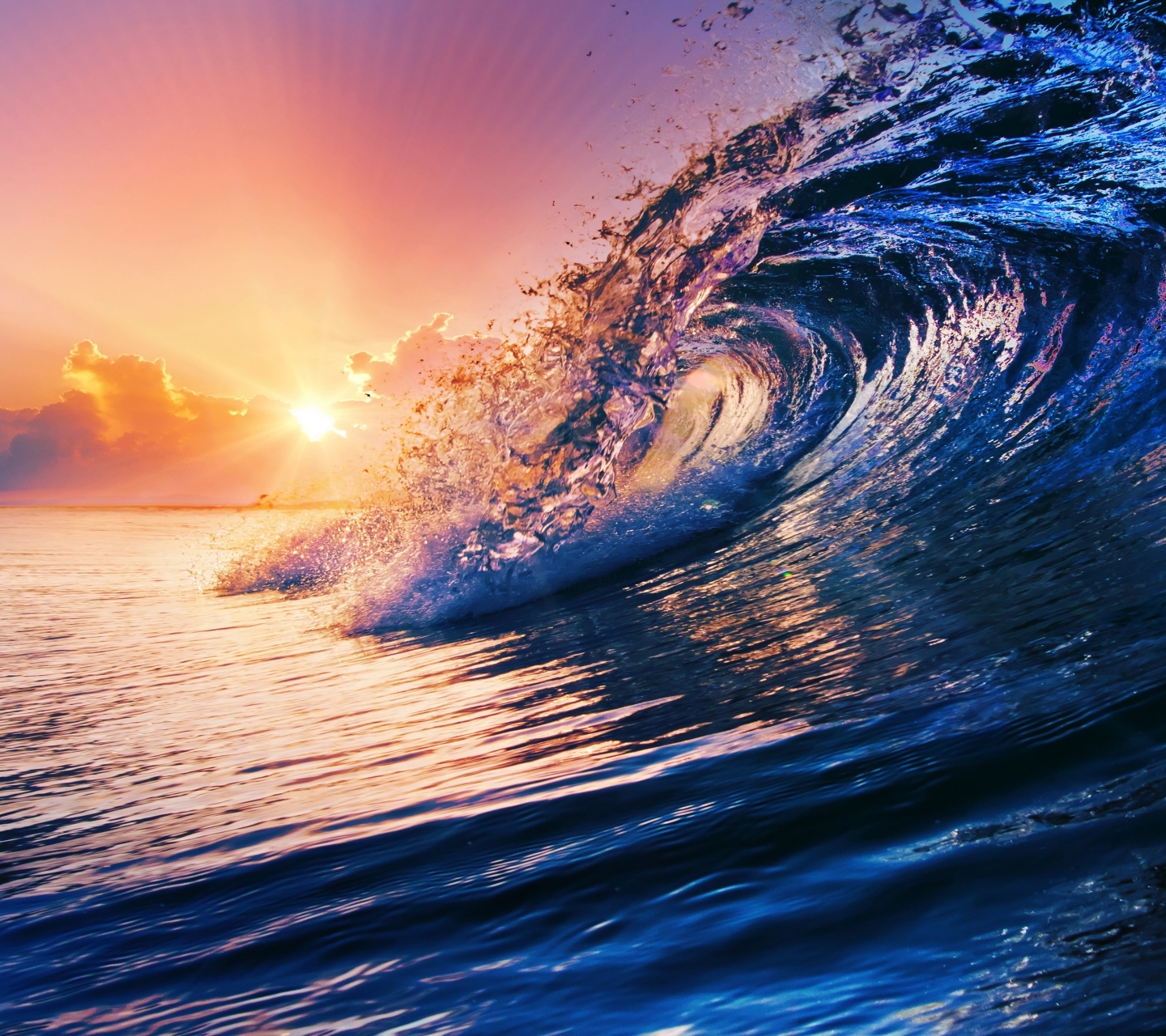 海浪拍打着沙滩,一浪高过一浪, 浪花一朵朵盛开,浪花一朵朵落下 盛开