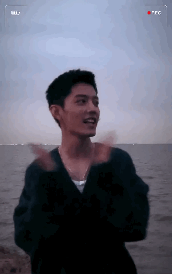 肖战两次烟花动图合集