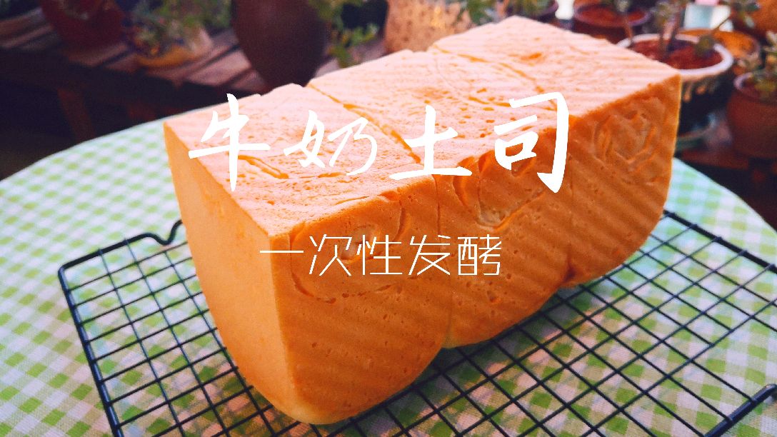香甜绵软的牛奶土司,一次性发酵,省时省力味道好