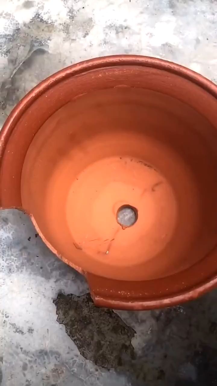 花盆破了不要扔,用它来种多肉也挺不错的啊