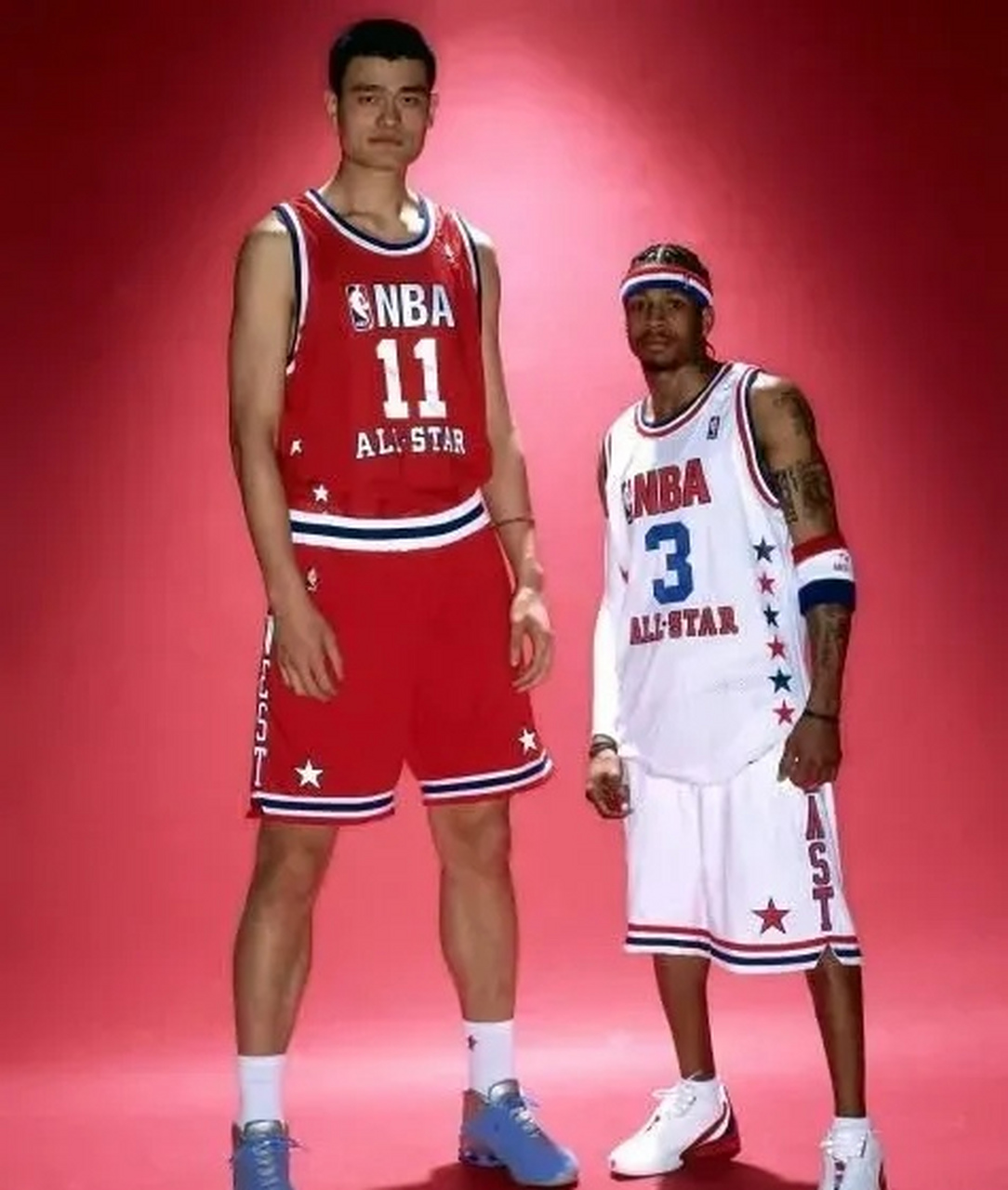 第一位:马努特·波尔(231cm) 第二位:肖恩·布拉德利(229 cm) 第三位