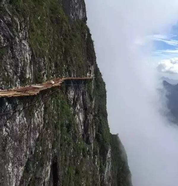 带你走进老王山景区