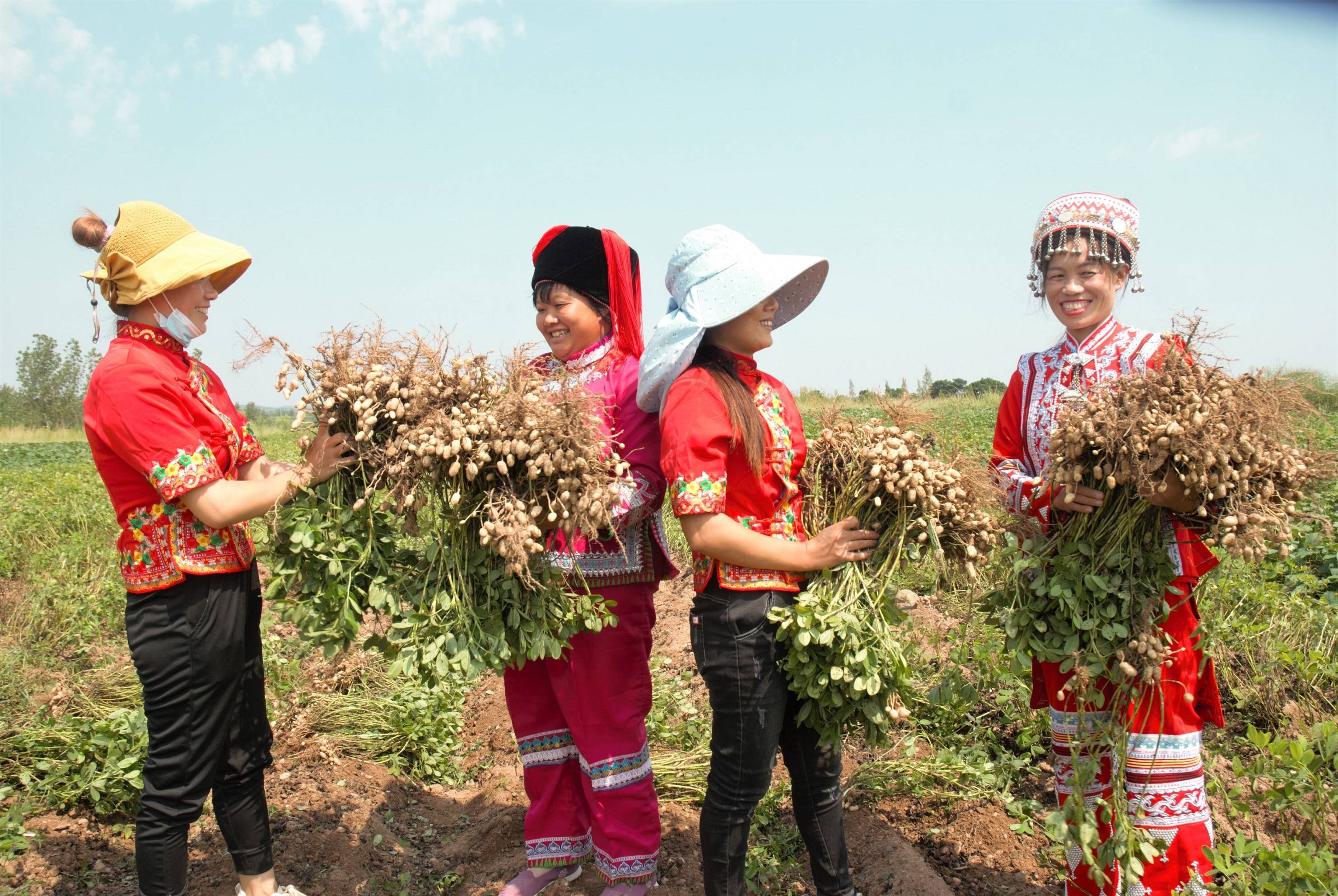花生叶斑病的症状,发生特点及防治方法!