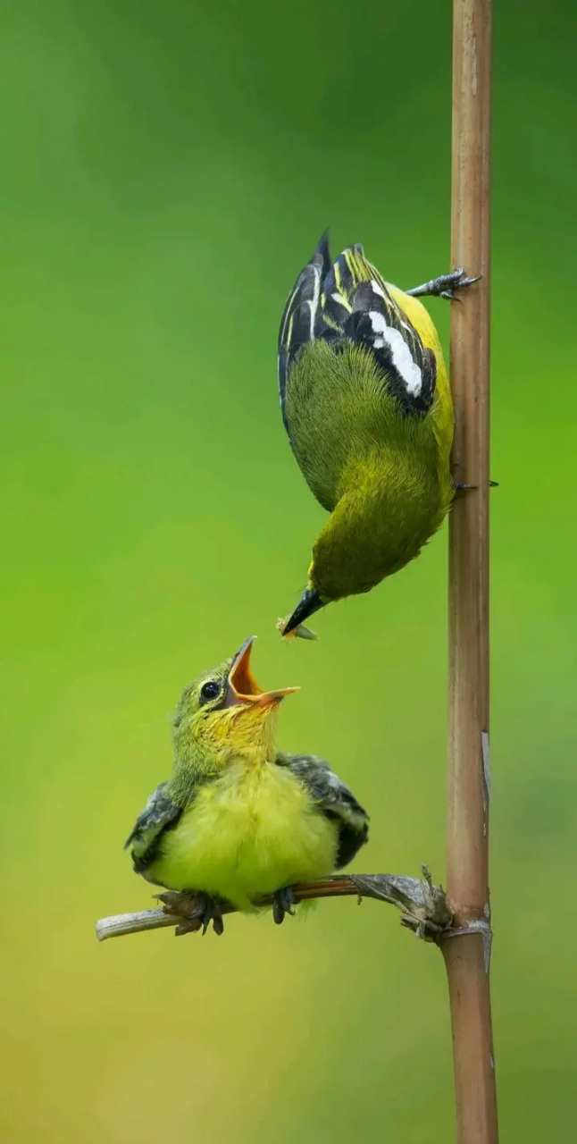 夫妻之间 相差几岁最好 男大一,难管妻 男大二,当老二 男大三,饱三餐