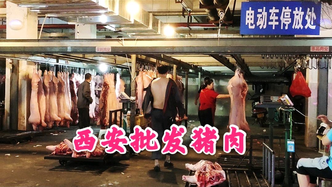 西安南郊最大批发市场,早上6点去买猪肉,看100块钱能买几斤?