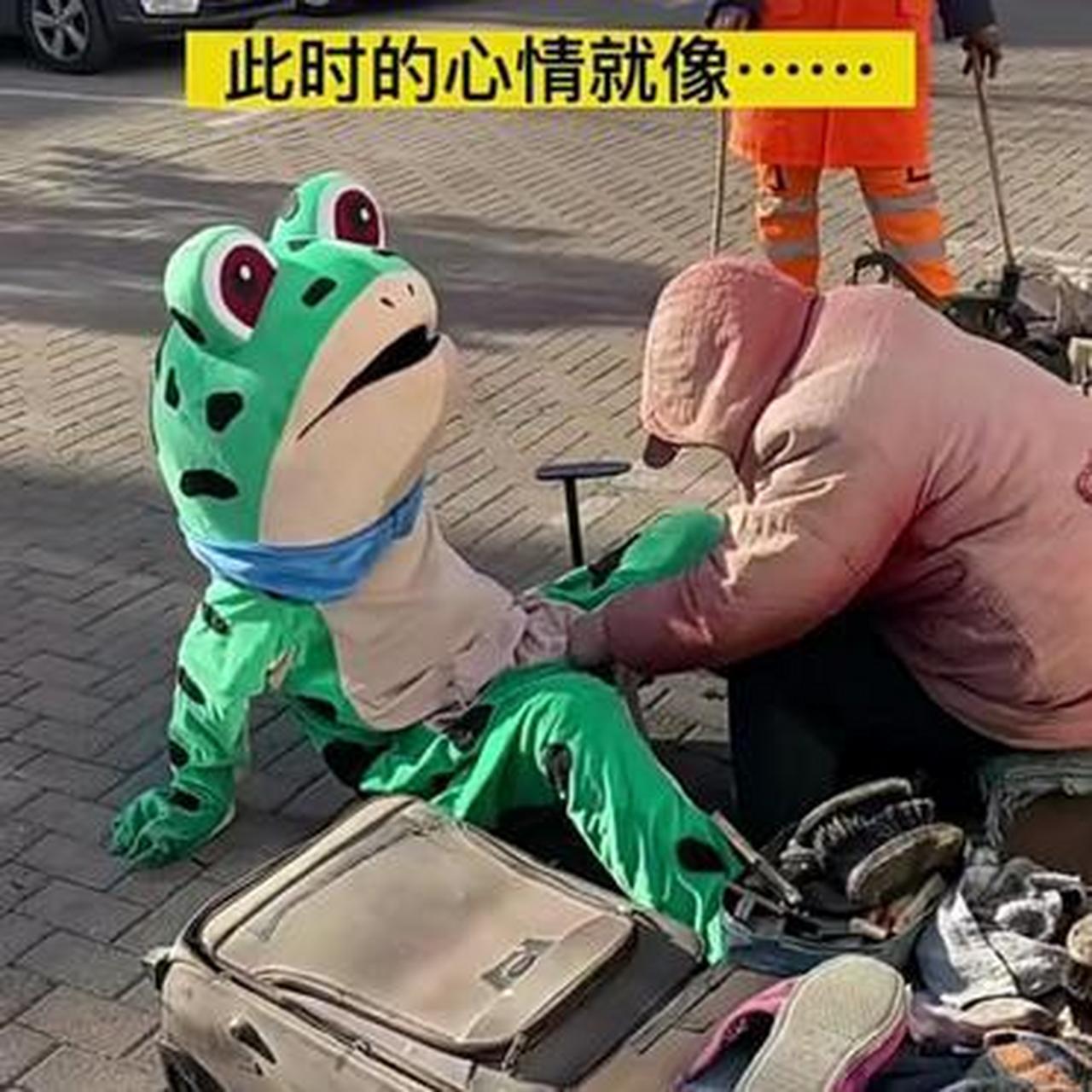 我就说青蛙是剖腹产吧!还没人信