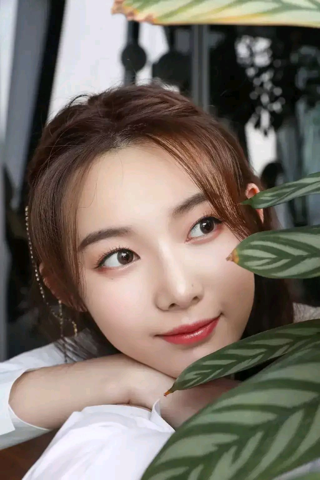 美丽清纯冯琬贺图集