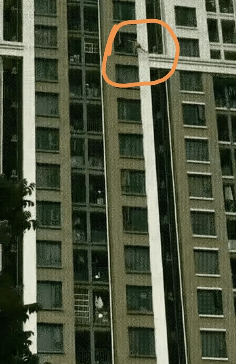 据说坠楼女子家住16楼,这天出门忘了带钥匙,回家发现开不了门.